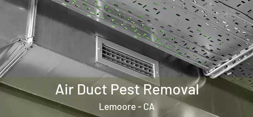 Air Duct Pest Removal Lemoore - CA