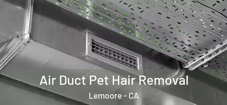Air Duct Pet Hair Removal Lemoore - CA