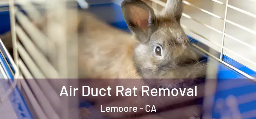  Air Duct Rat Removal Lemoore - CA