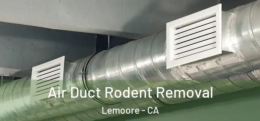 Air Duct Rodent Removal Lemoore - CA