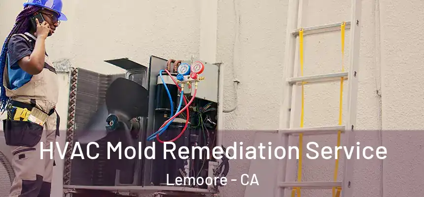  HVAC Mold Remediation Service Lemoore - CA