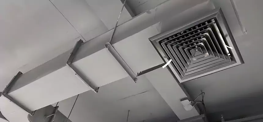 Restorative Allergy Relief Vent Cleaning – Coil, Blower & Housing Detail in Lemoore