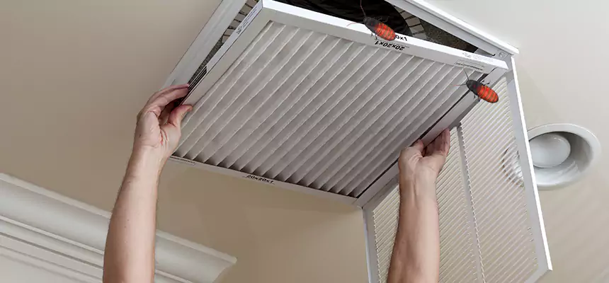 Our Insect Removal from Air Ducts Services in Lemoore, CA