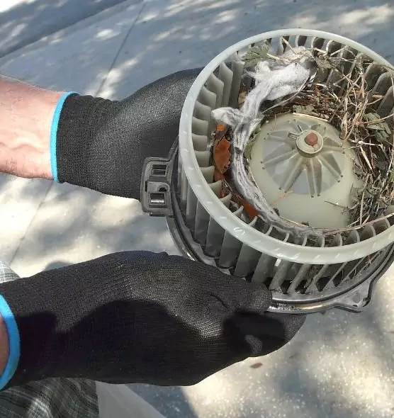 About Air Duct Mice Removal in Lemoore, CA