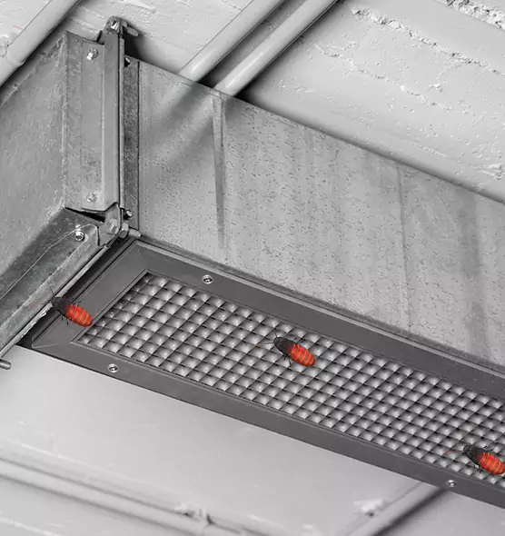 Affordable Insect Removal from Air Ducts in Lemoore, CA