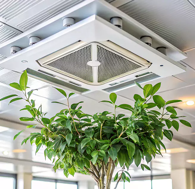 Why Homeowners & Businesses Trust Us in Lemoore, CA?