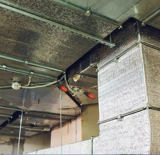 Why Homeowners & Businesses Trust Us Lemoore, CA?